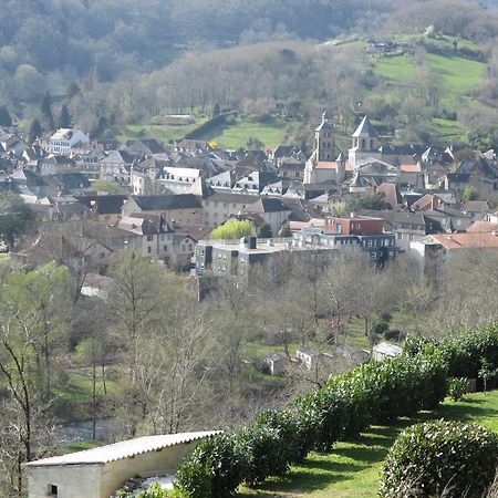 Le Petit Chat Beaulieu-sur-Dordogne Buitenkant foto