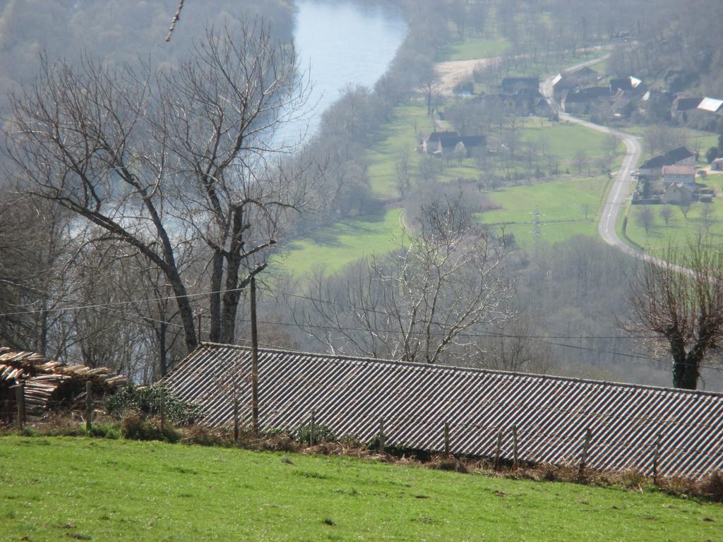Le Petit Chat Beaulieu-sur-Dordogne Buitenkant foto